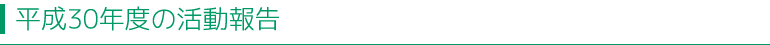 平成30年度の活動報告
